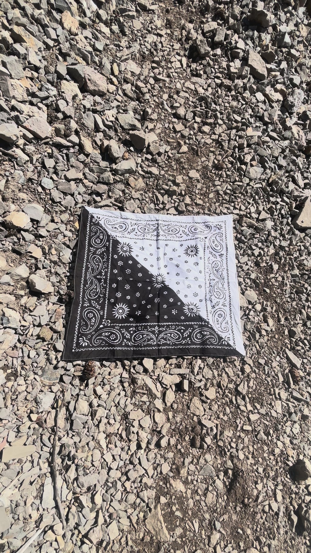 Black and White Bandana