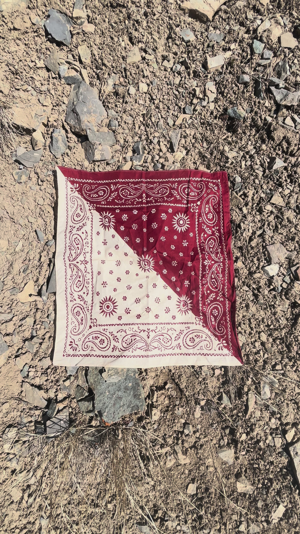 Crimson And Cream Bandana
